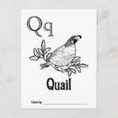 ウッドランド動物ABCぬりえ赤ちゃんシャワー活動 ポストカード (正面)