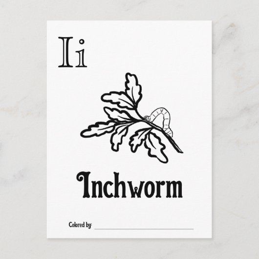 ウッドランド動物ABCぬりえ赤ちゃんシャワー活動 ポストカード (正面)