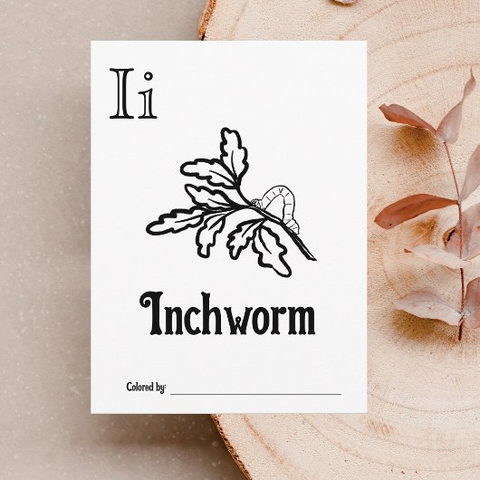 ウッドランド動物ABCぬりえ赤ちゃんシャワー活動 ポストカード