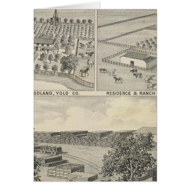 ウッドランド木材会社 (正面)