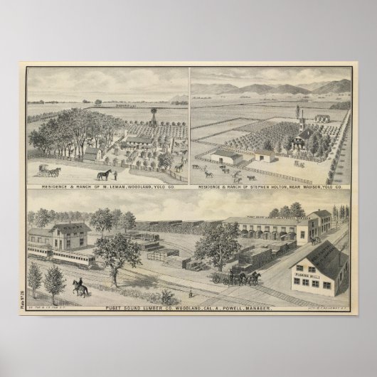 ウッドランド木材会社 ポスター (正面)