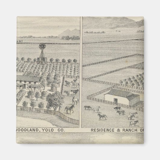 ウッドランド木材会社 マグネット (正面)