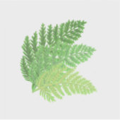 ウッドランド森林グリーンシダの森葉シダ シール (正面)