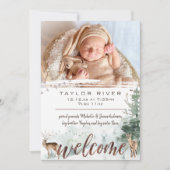 ウッドランド森林松の鹿の写真誕生発表 案内状 (正面)