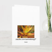 ウッドランド滝グリーティングカード サンキューカード (裏面)