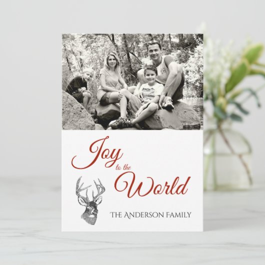 ウッドランド生物 (スタンド正面)