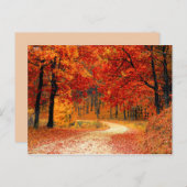 ウッドランド秋トレイル葉書 ポストカード (正面/裏面)
