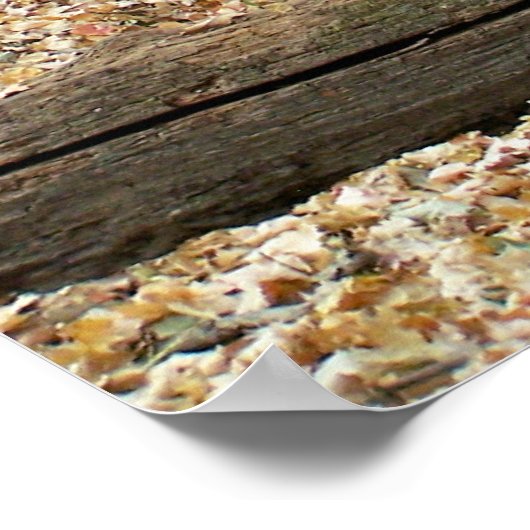 ウッドランド窓 ポスター (角)