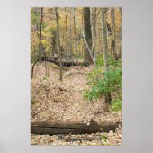 ウッドランド窓 ポスター (正面)