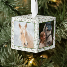 ウッドランド自然パインウマ科のホースPET 4写真