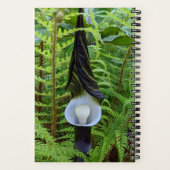 ウッドランド・ジャックイン・ザ・プルピット工場 ノートブック (裏面)