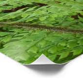 ウッドランド・ジャック・イン・ザ・プルピットフローラ ポスター (コーナー)