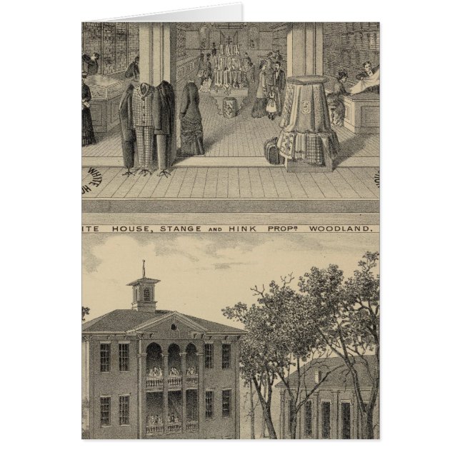 ウッドランド・ストア、カレッジ (正面)