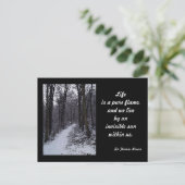 ウッドランド・スノーシーン ポストカード (スタンド正面)