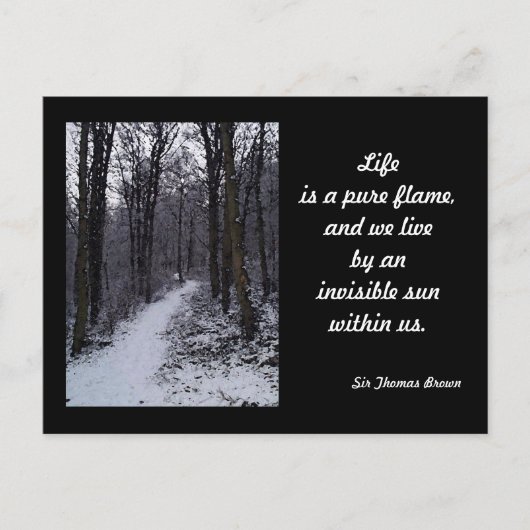 ウッドランド・スノーシーン ポストカード (正面)