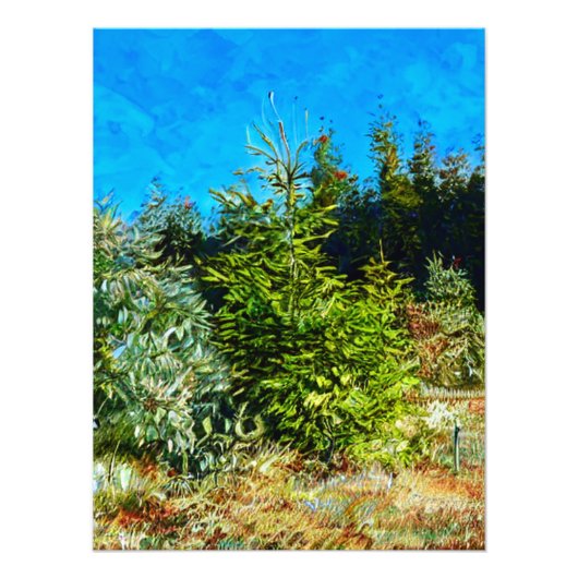 ウッドランド フォトプリント            (正面)