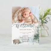 ウッドランド・フォレストベア写真誕生のお知らせ 案内状 (スタンド正面)