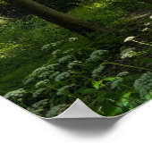 ウッドランド。ブラックワイア・ウッズ、ビュート・パーク、カーディフ ポスター (角)