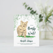 ウッドランド・ベア・キューブを待つことができる (スタンド正面)