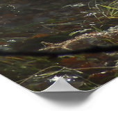 ウッドランド・モーニング・ミストポスター ポスター (角)