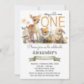 ウッドラ男女兼用ンドワイルドワンバースデーパーティー 招待状 (正面)