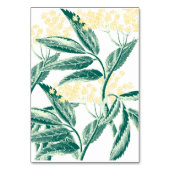 ウッドラ結婚ンドのテーブル番号記号 テーブルナンバー (裏面)