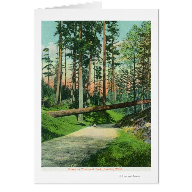 ウッドラ落ちたンドパークシーンの木 (正面)