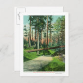 ウッドラ落ちたンドパークシーンの木 ポストカード (正面/裏面)