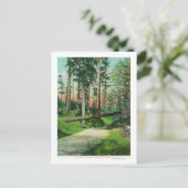 ウッドラ落ちたンドパークシーンの木 ポストカード (スタンド正面)