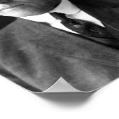 ウッドロウウィルソン ポスター (角)