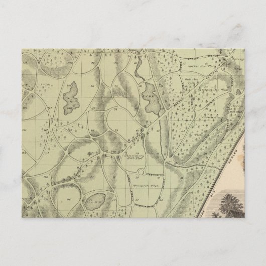 ウッドローン墓地 ポストカード (正面)