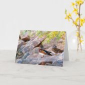 ウッド・ダック・ペアすべての出来事 カード (黄色い花)