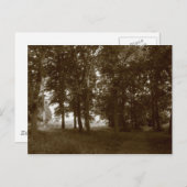ウッド、ビュートパークカーディフ – セピア調色 ポストカード (正面/裏面)