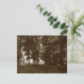 ウッド、ビュートパークカーディフ – セピア調色 ポストカード (スタンド正面)