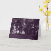 ウッド、ビュートパークカーディフ – 紫の色調のBW カード (黄色い花)