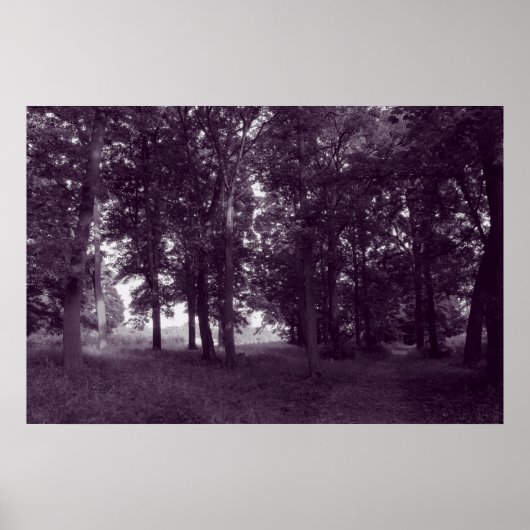 ウッド、ビュートパークカーディフ – 紫の色調のBW ポスター (正面)