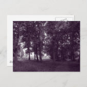 ウッド、ビュートパークカーディフ – 紫の色調 ポストカード (正面/裏面)