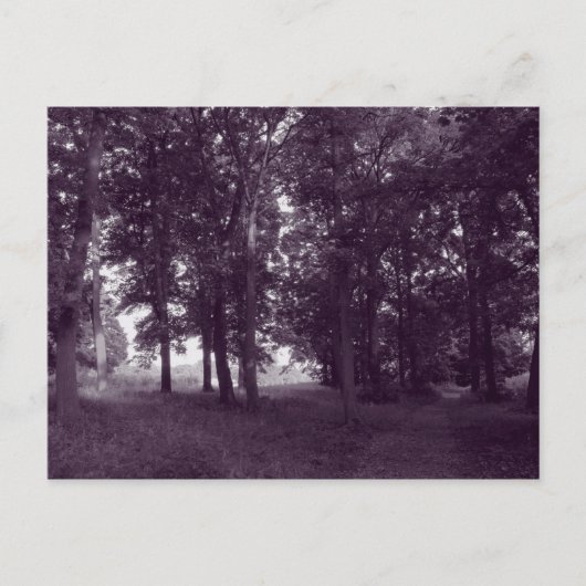 ウッド、ビュートパークカーディフ – 紫の色調 ポストカード (正面)