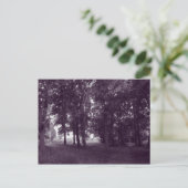 ウッド、ビュートパークカーディフ – 紫の色調 ポストカード (スタンド正面)