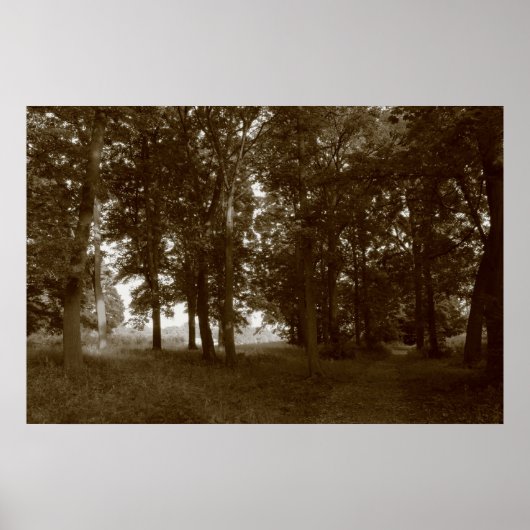 ウッド、ビュートパークカーディフ – Sepia toned BW ポスター (正面)