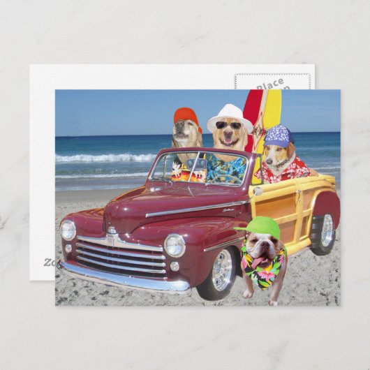 ウディーのビーチの犬と研究室 ポストカード (正面/裏面)