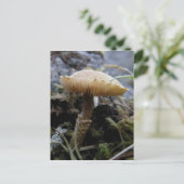 ウナアラスカ島のスカリーキノコ ポストカード (スタンド正面)