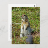 ウナアラスカ島のパーキーリス ポストカード (正面/裏面)