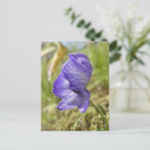 ウナアラスカ島のホワイトモンクショッド ポストカード (スタンド正面)