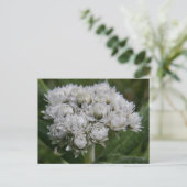 ウナアラスカ島の真珠のような永遠の島 ポストカード (スタンド正面)