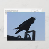 ウナアラスカ島シルエットで生まれたレイベン ポストカード (正面/裏面)