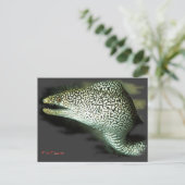 ウナギのうなぎは食べ放題 ポストカード (スタンド正面)