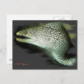 ウナギのうなぎは食べ放題 ポストカード (正面/裏面)