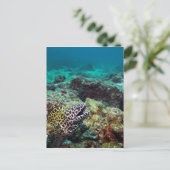 ウナギのツジ ポストカード (スタンド正面)