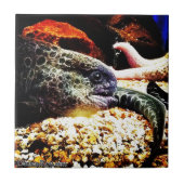 ウナギ タイル (正面)